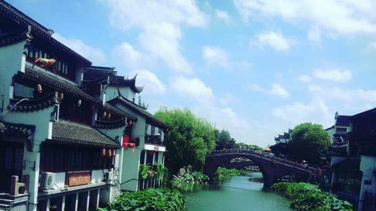 被黑提现一直在审核.文章慨括（图）