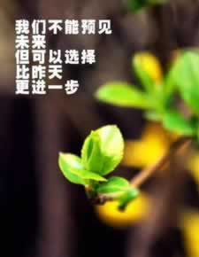 在网上系统审核不让取款.文章概览(图)