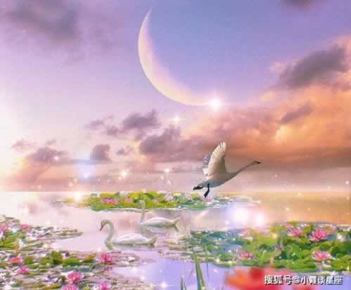 网络上说账户异常提现失败.内容慨述(图)