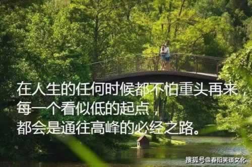 黑网被黑提取失败提示财务清算.小序（图）