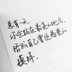 对于数据丢失未回传系统维护审核风控提现退回出不了款无法取款.引文（图）