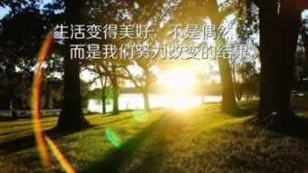 华宝创富是怎么样的平台.概括（图）