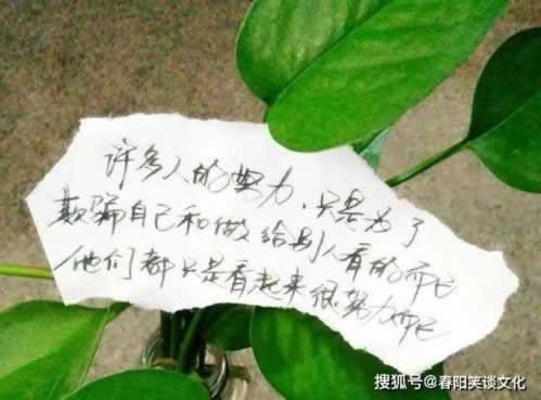 出款维护最长多久什么办法（图）