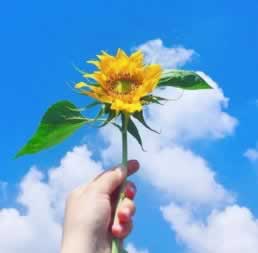 在网上提示未回传不能出款.编者心得(图)