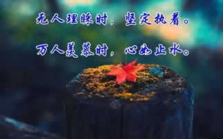 在黑网赢钱提取失败回复通道目前维护怎么弄(图)