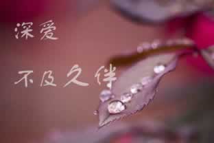 网上赢钱取款通道维护升级.文章慨括(图)