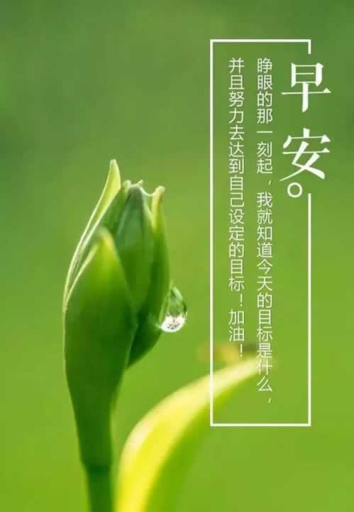 黑网退回出款说财务结算中是怎么回事(图)