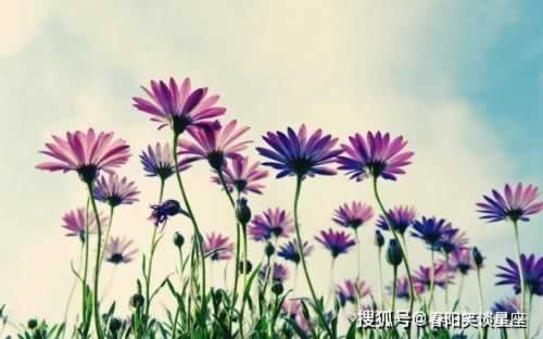 网络平台赢了不给提款客服总说系统维护审核.内容概要(图)