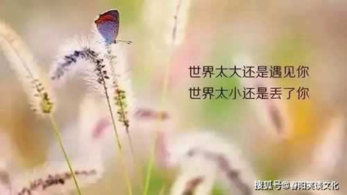 网上赢了不给出款怎么解决最好的出黑大师 操作策略(图)