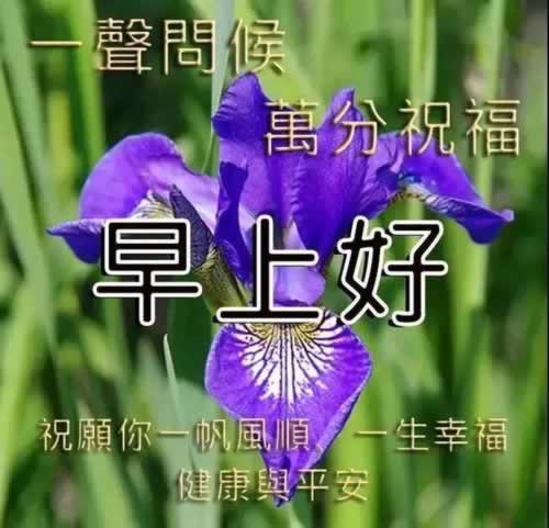 在黑网账户违规下注.文章引题(图)