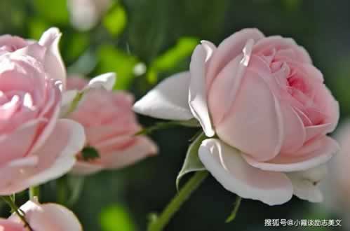 黑平台客服一直不通知提款大家怎么解决(图)