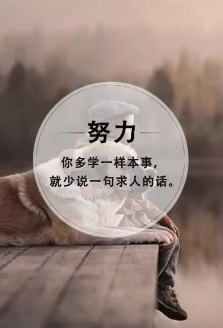 在网站抽查审核.内容概略(图)