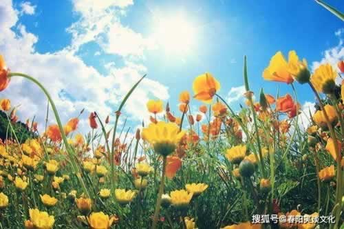 网上平台提款审核很久 综合应对(图)