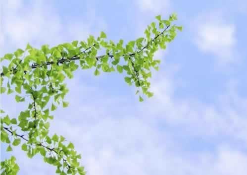 在网上的平台账户显示流水不足提不了款 瓶颈破解（图）