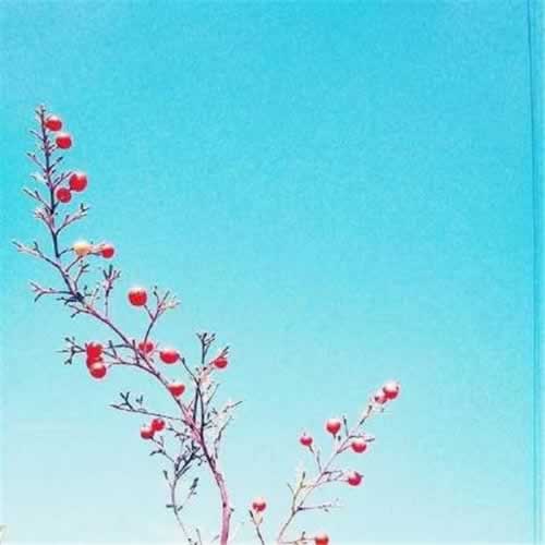 维护不给提款有什么方法怎么情况（图）