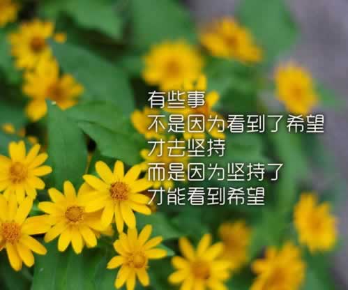黑网取款审核要多久到底怎么避免（图）