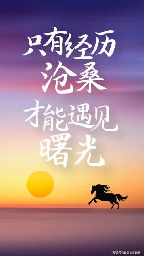 碰到黑网提取失败通道维护怎么做(图)