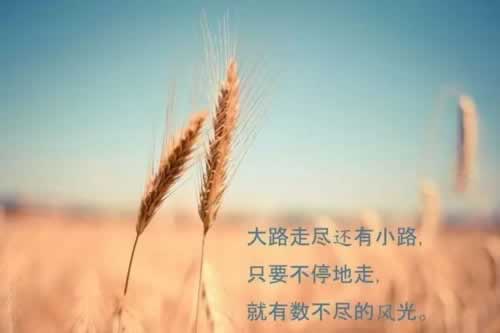 网上赢钱提现失败风控部门审核 市场策略(图)