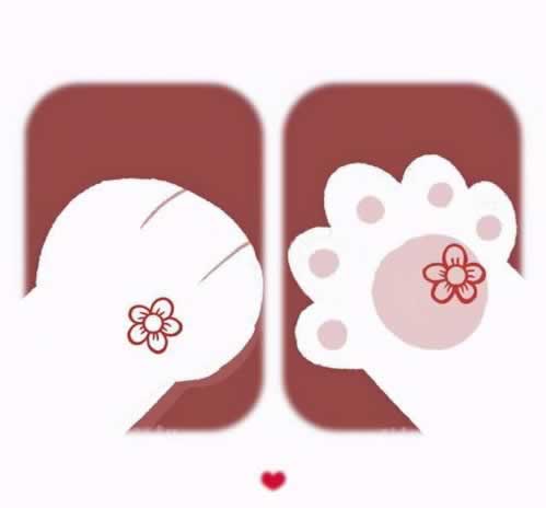 碰到视讯数据未传回有什么办法出.概述(图)