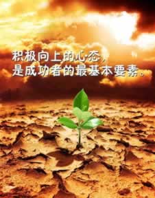 碰到提款审核不通过不给出之前正常的平台 精准应对(图)