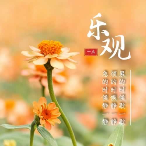 提款第三方维护延迟通知.内容核心(图)