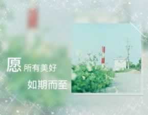 网上平台系统维护一对一解决 分级应对(图)