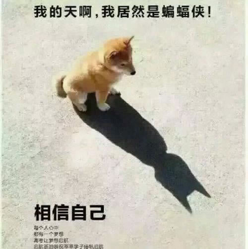 谁能解决被黑系统维护升级中取款总失败.内容概略(图)
