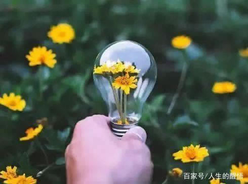 赢钱提款审核失败是被黑.侧重点（图）
